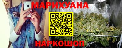 прущие грибы Заводоуковск