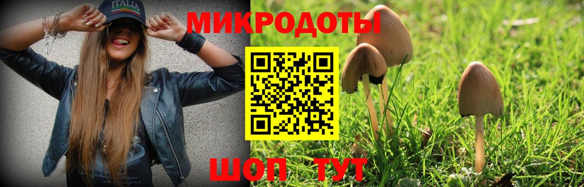 Лыткарино  Галлюциногенные грибы Psilocybe  Вход с VPN 