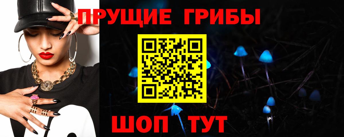 Псилоцибиновые грибы мицелий Лыткарино